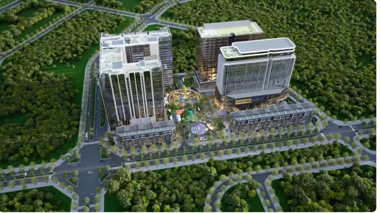 D'Diamant Bleu Việt Hưng.